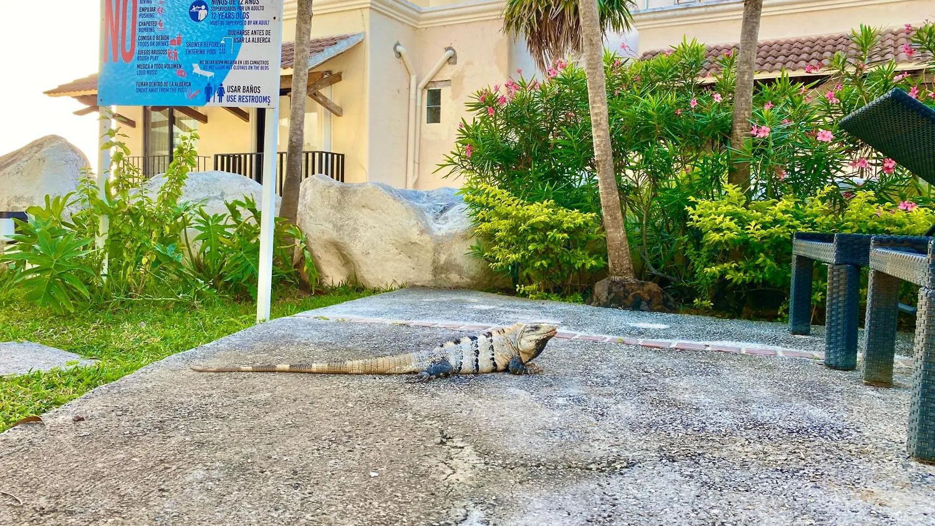 Villa Cascada By Andiani Travel Cancún Messico